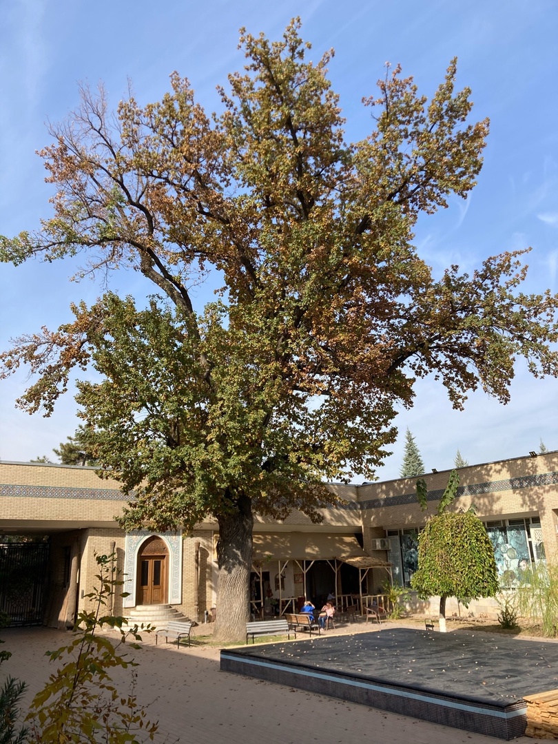 Узбекистан вдоль и поперек - этнографическая экспедиция (9 дней) (7/44)