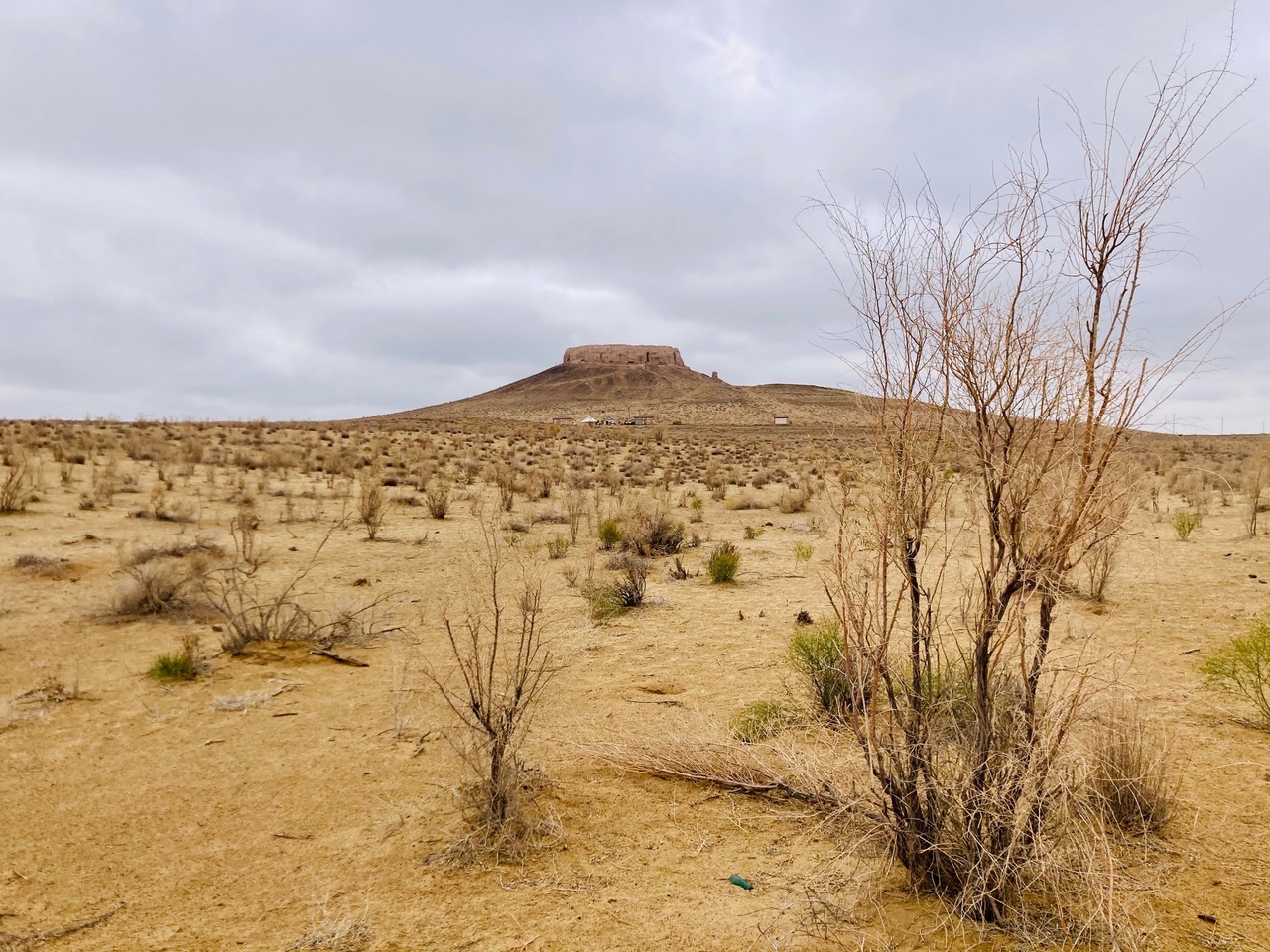 Узбекистан вдоль и поперек - этнографическая экспедиция (9 дней) (14/44)