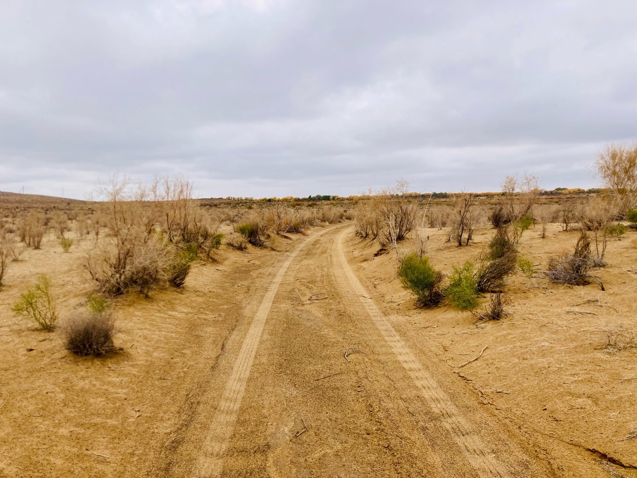 Узбекистан вдоль и поперек - этнографическая экспедиция (9 дней) (2/44)