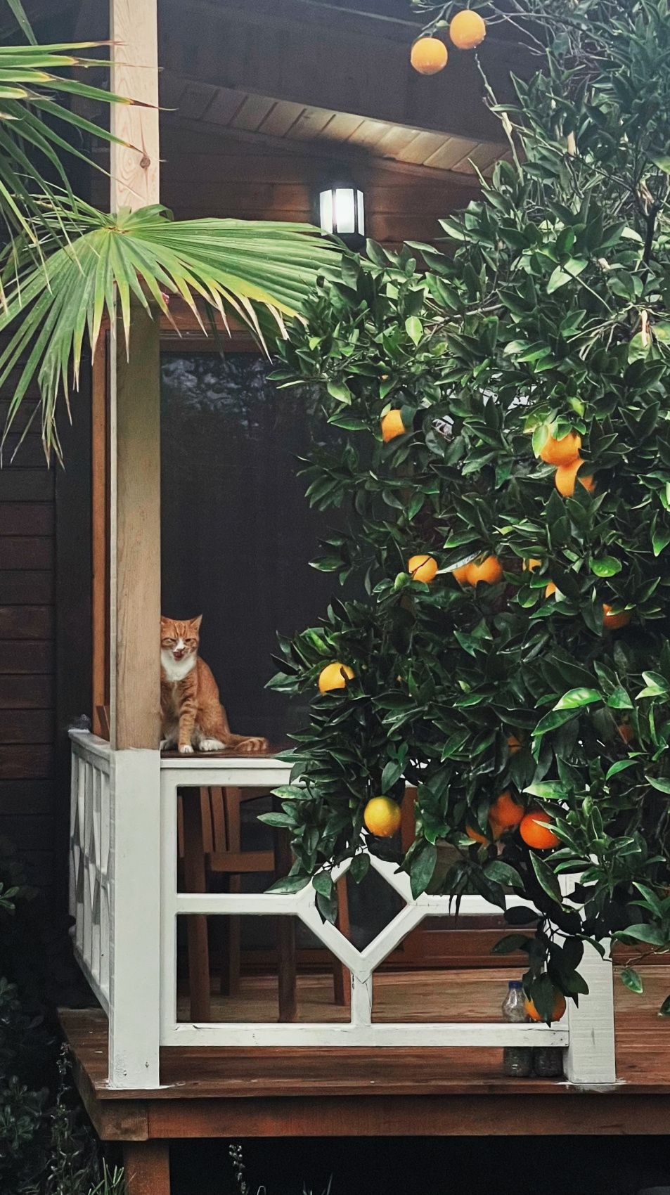 Турецкая Романтика: уютный Каш, деревня Чиралы, ликийская тропа, дюны Патары (9/57)