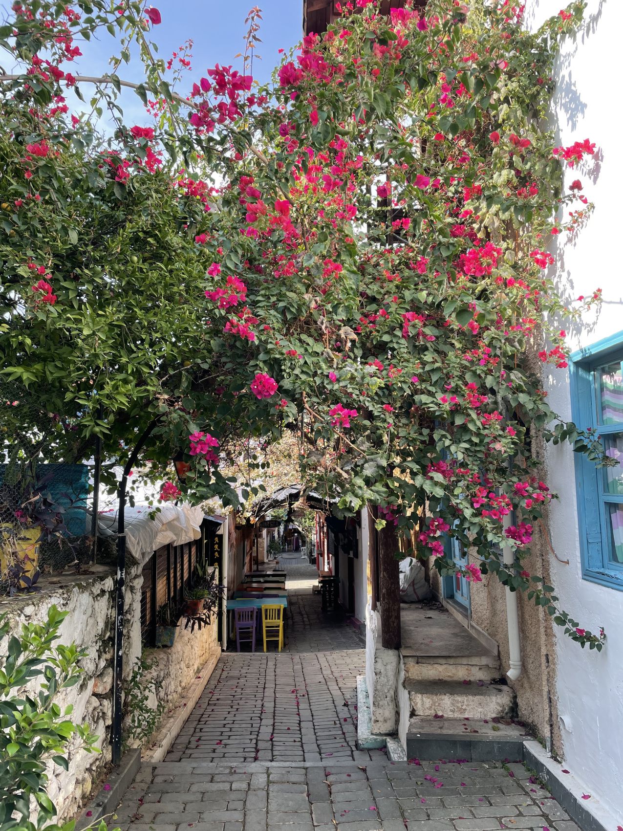 Турецкая Романтика: уютный Каш, деревня Чиралы, ликийская тропа, дюны Патары (13/57)