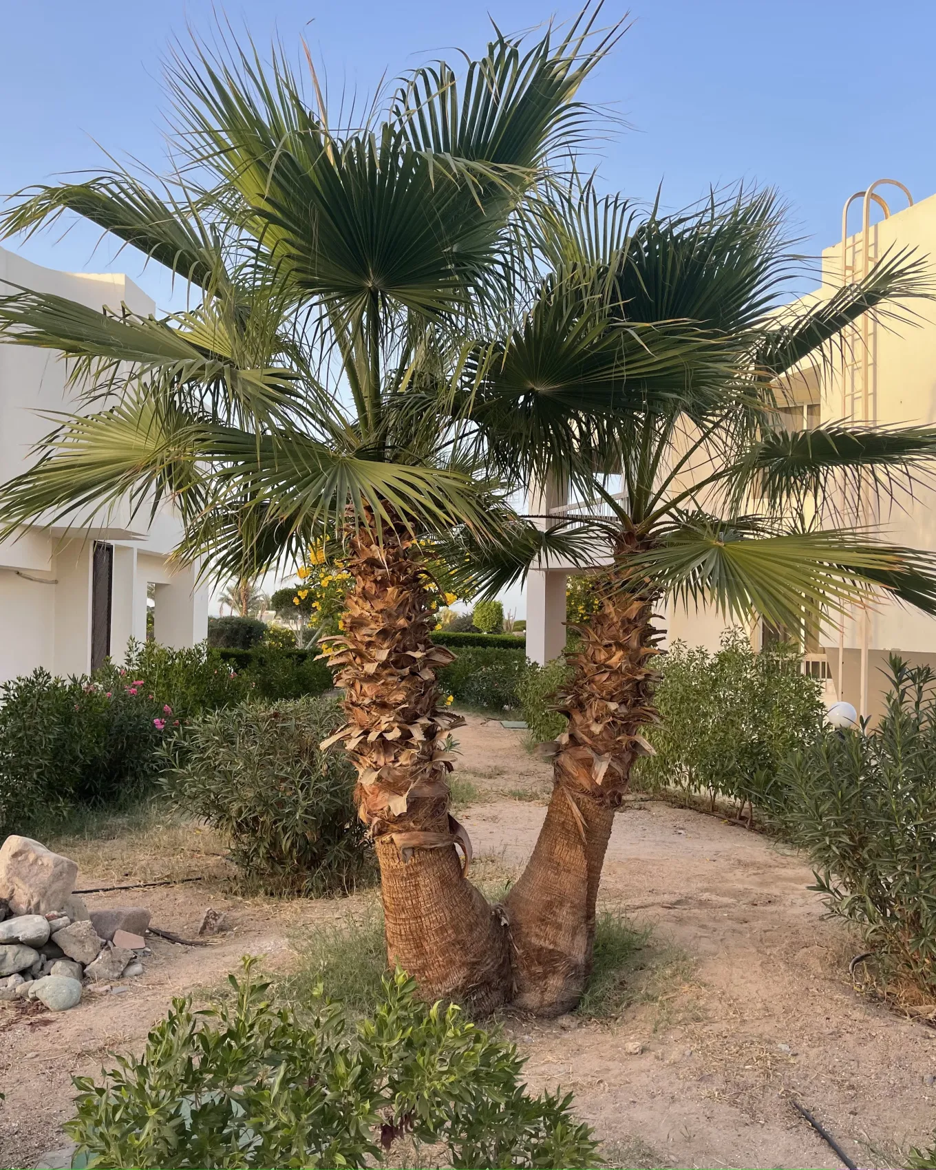 Фитнес девичник в Египет  Включено все, Даже Перелет!! (37/91)