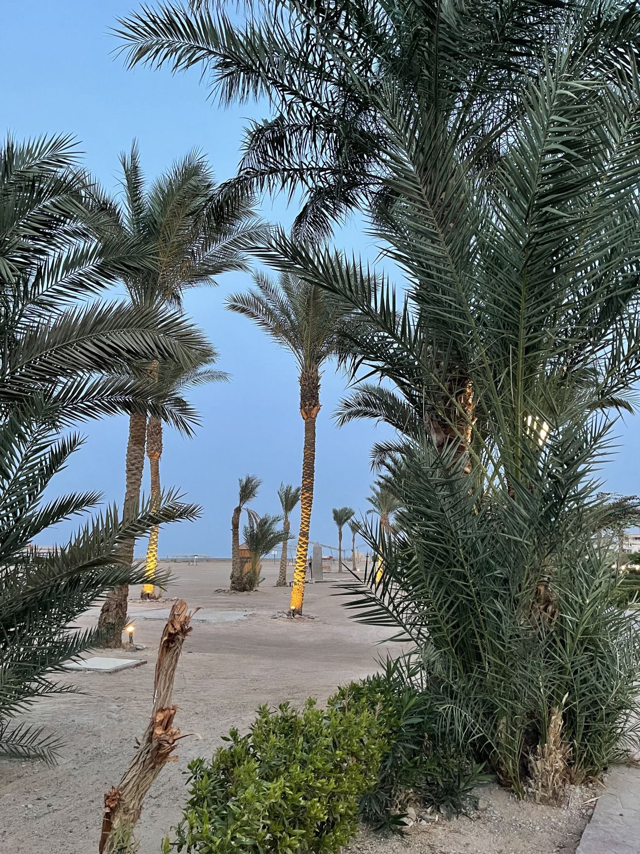 Фитнес девичник в Египет  Включено все, Даже Перелет!! (34/91)