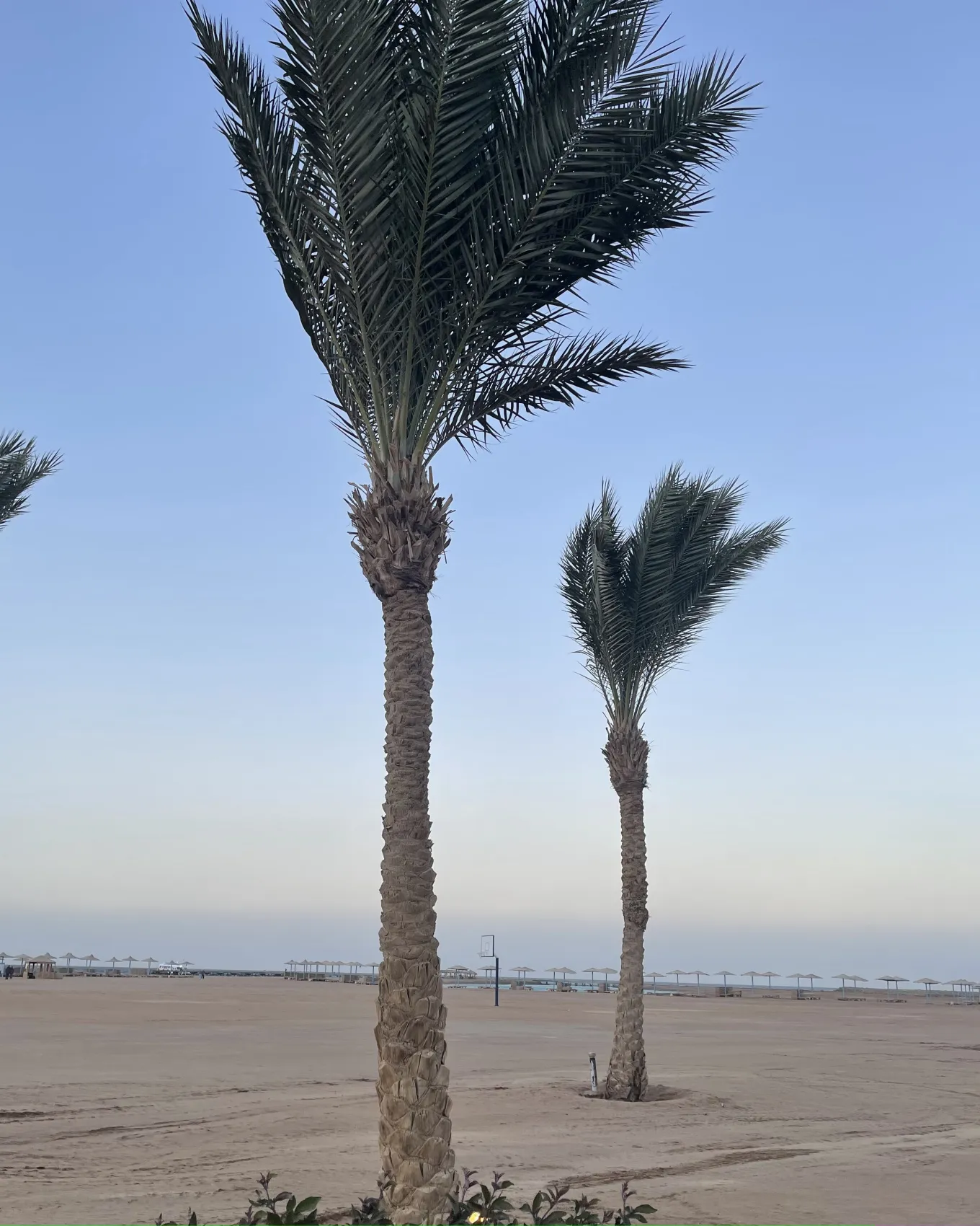 Фитнес девичник в Египет  Включено все, Даже Перелет!! (33/91)