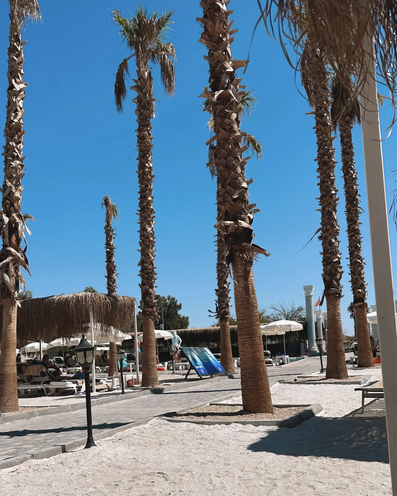 Фитнес девичник в Египет  Включено все, Даже Перелет!! (30/91)