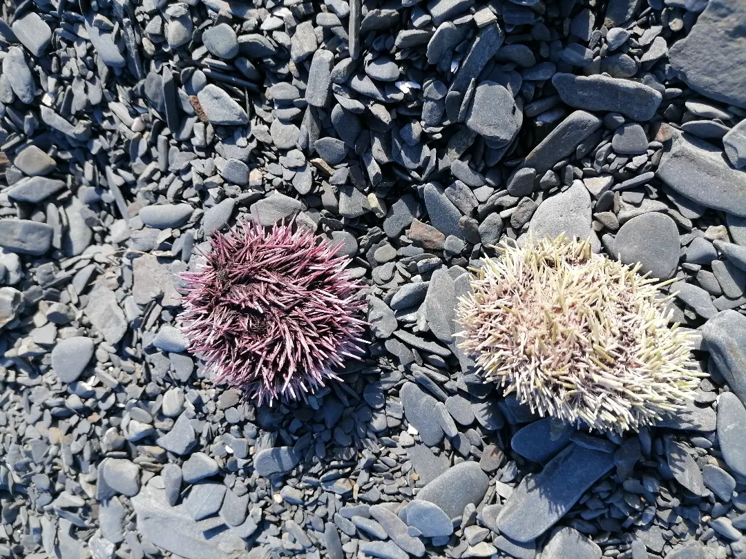 Джип-тур на полуостров Средний и Рыбачий (8/25)