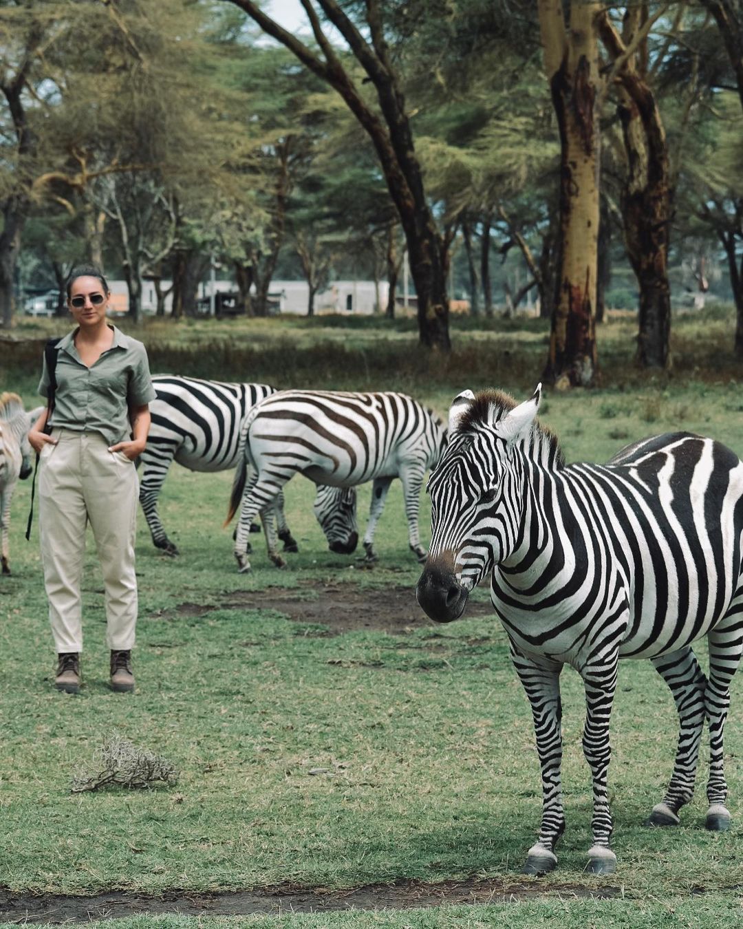 Великая Миграция В Кении 2026 (38/66)