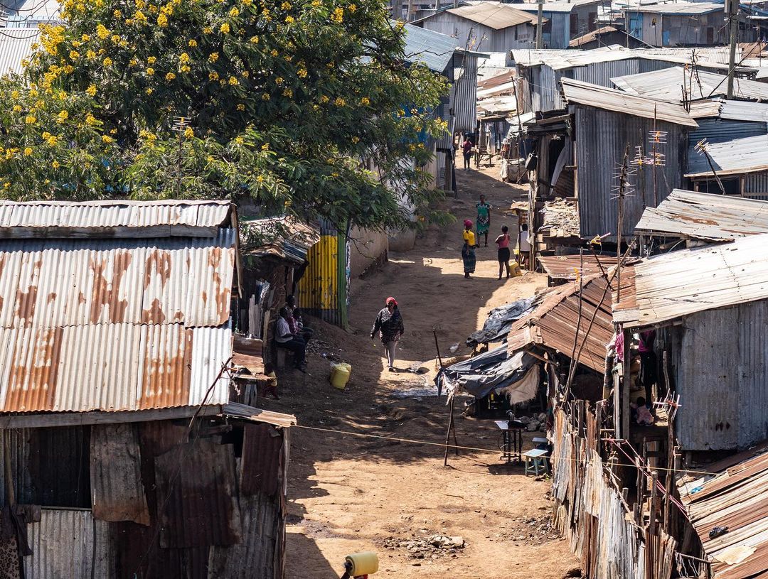 Великая Миграция В Кении 2026 (33/66)