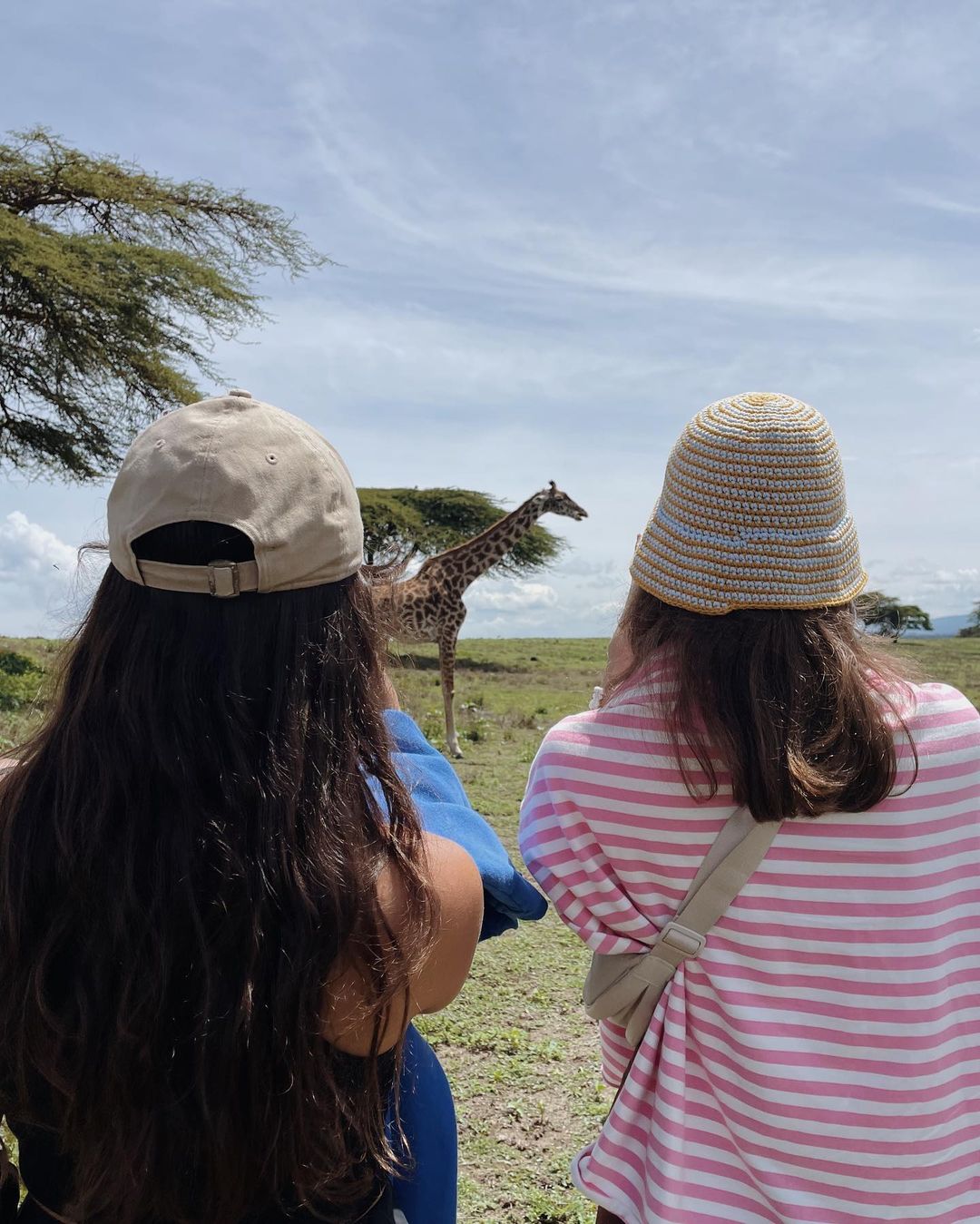 Великая Миграция В Кении 2026 (39/66)