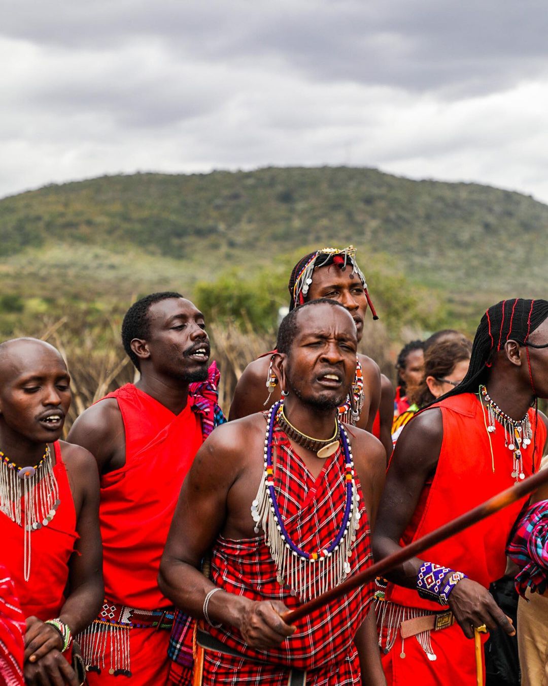 Великая Миграция В Кении 2026 (23/66)