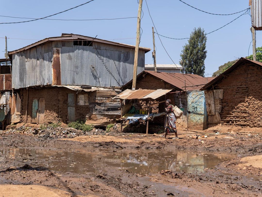 Великая Миграция В Кении 2026 (36/66)