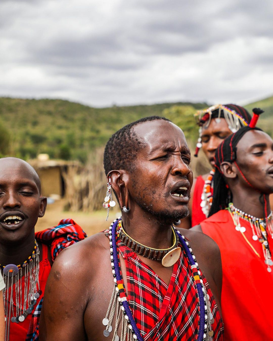 Великая Миграция В Кении 2026 (27/66)