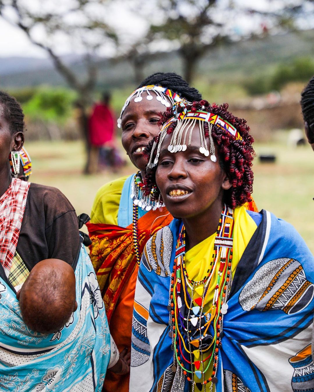 Великая Миграция В Кении 2026 (29/66)