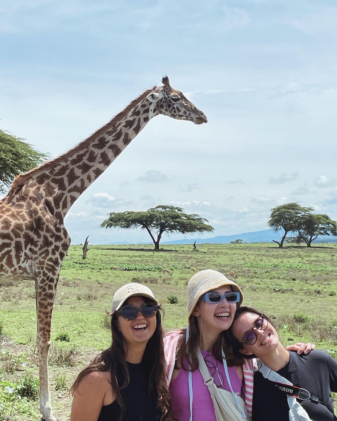 Великая Миграция В Кении 2026 (42/66)