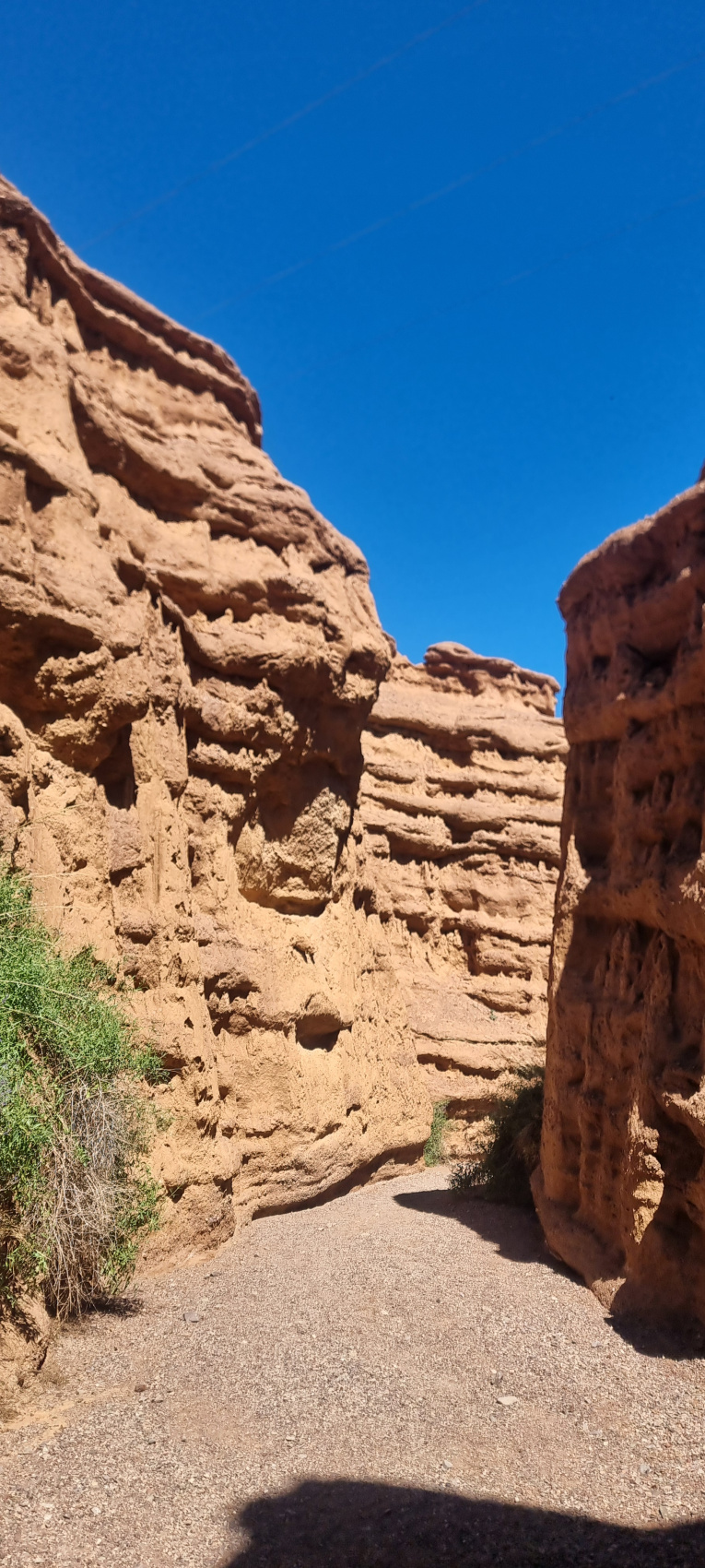 Частичка Кыргызстана за пять дней. Иссык Куль (29/58)