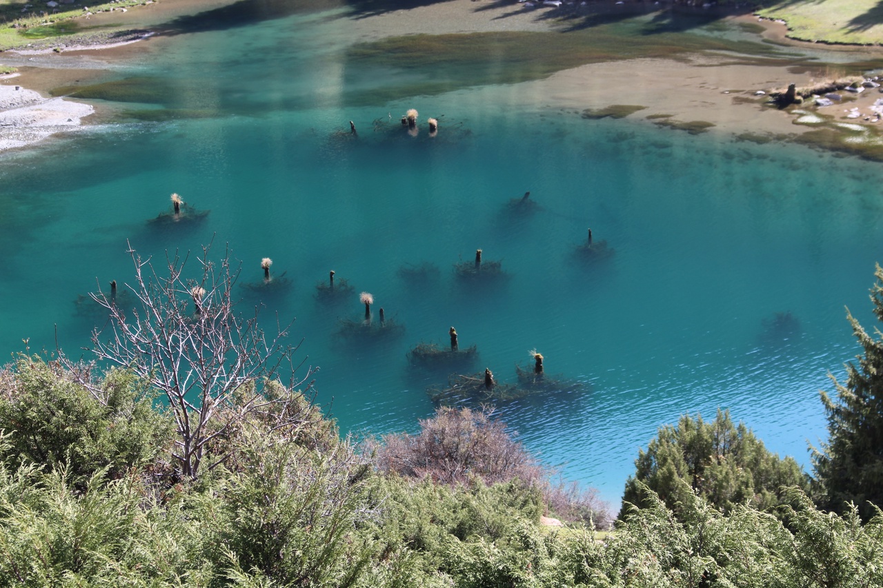 Частичка Кыргызстана за пять дней. Иссык Куль (12/58)