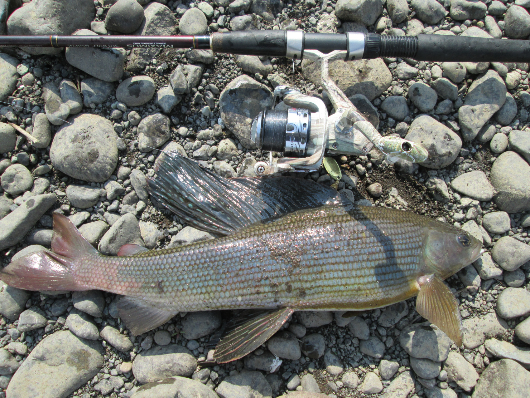 Рыболовный тур на плато Путорана Рыбалка Большой Медведицы (3/19)