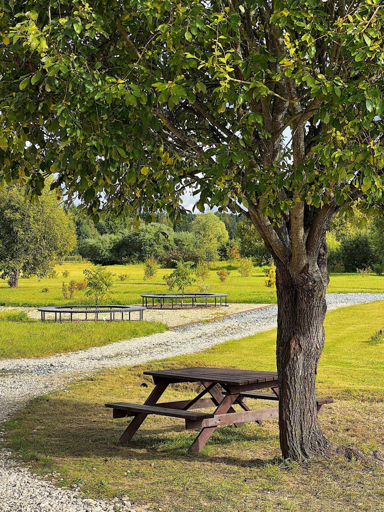 Трёхдневный тур «Жемчужина Поволжья» (2/7)