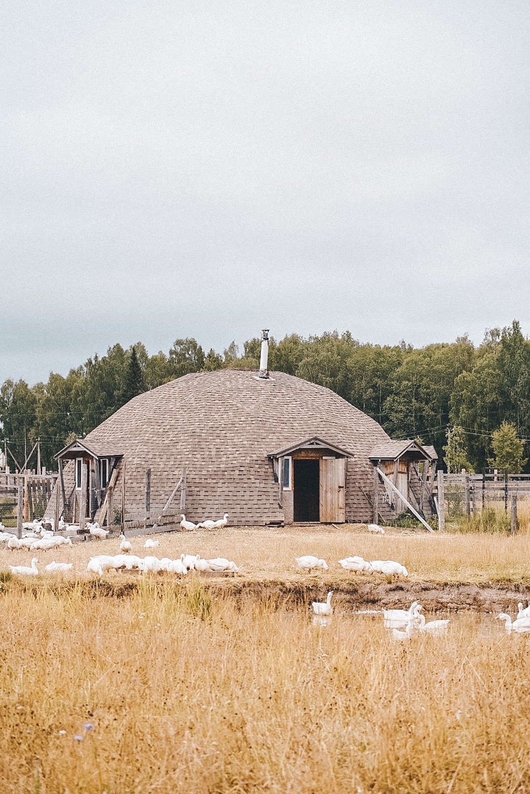 Трёхдневный тур «История Республики» (4/8)