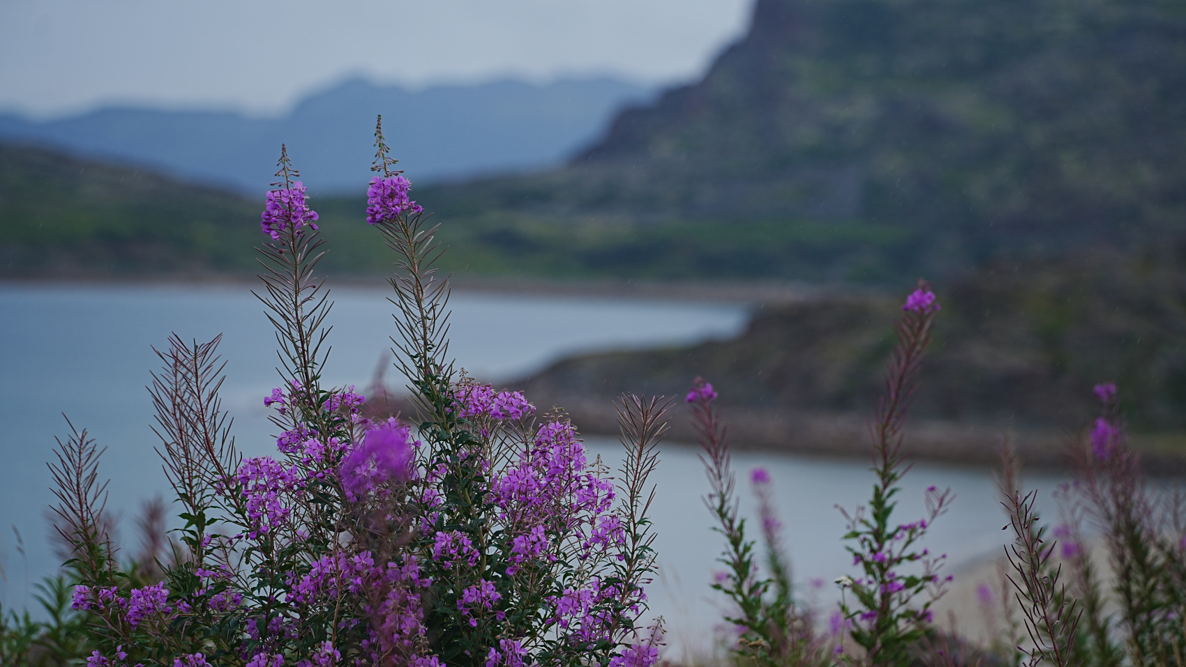 Тур “Три дня на Краю Земли или Солнечные ночи Крайнего Севера” (2/11)
