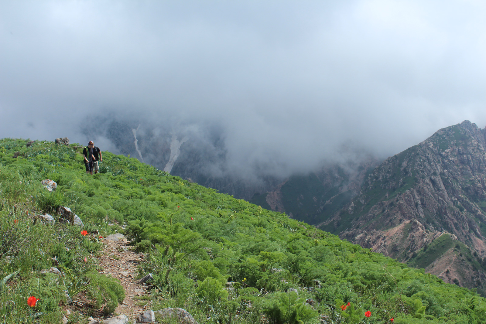 Золотое кольцо Узбекистана: Ташкент,Чимганские горы,гелиокомплекс, Хива, Бухара и пр. (21/76)
