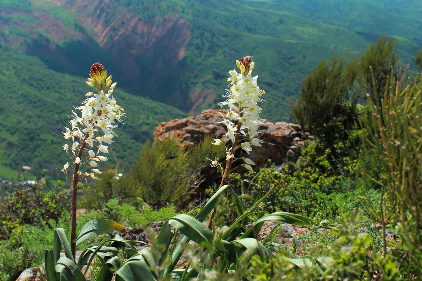 Золотое кольцо Узбекистана: Ташкент,Чимганские горы,гелиокомплекс, Хива, Бухара и пр. (17/76)