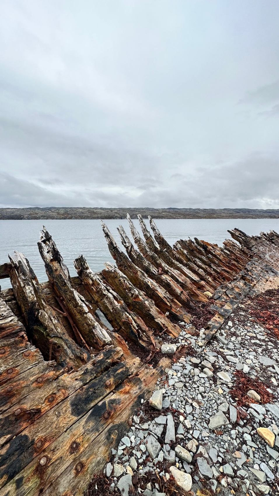 Полуострова Средний и Рыбачий. Там где начинается Россия (23/26)