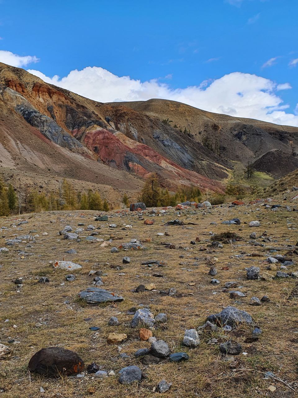 Путешествие по местам силы Алтая с комфортом (39/59)