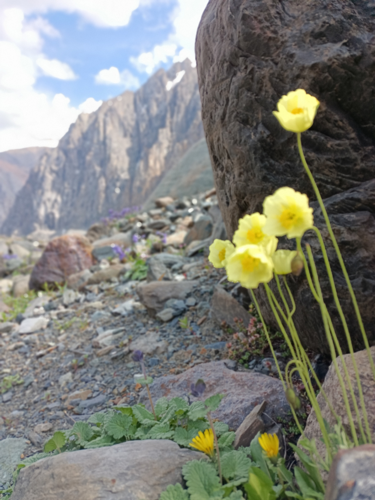 Путешествие по местам силы Алтая с комфортом (22/59)