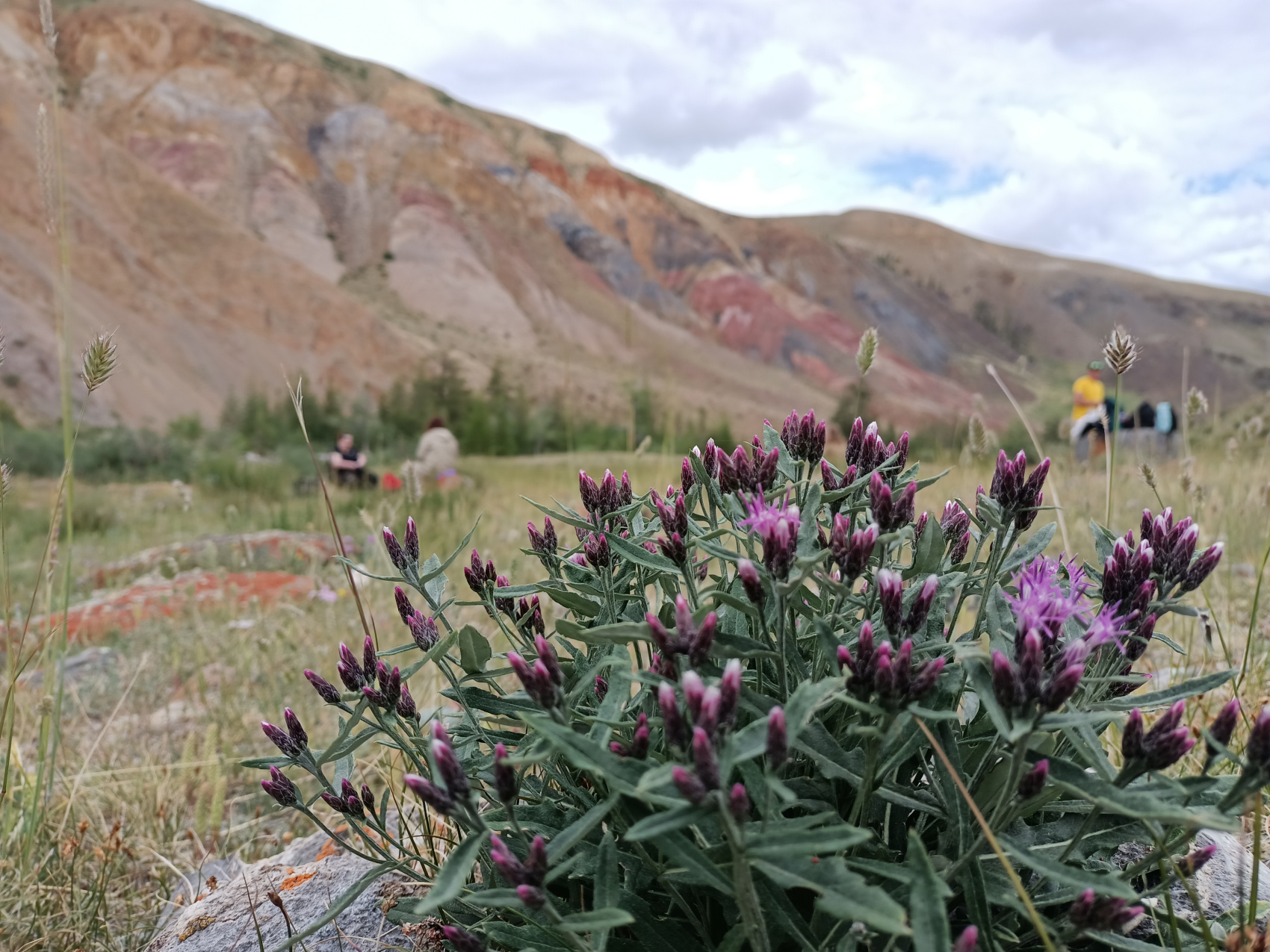 Путешествие по местам силы Алтая с комфортом (19/59)