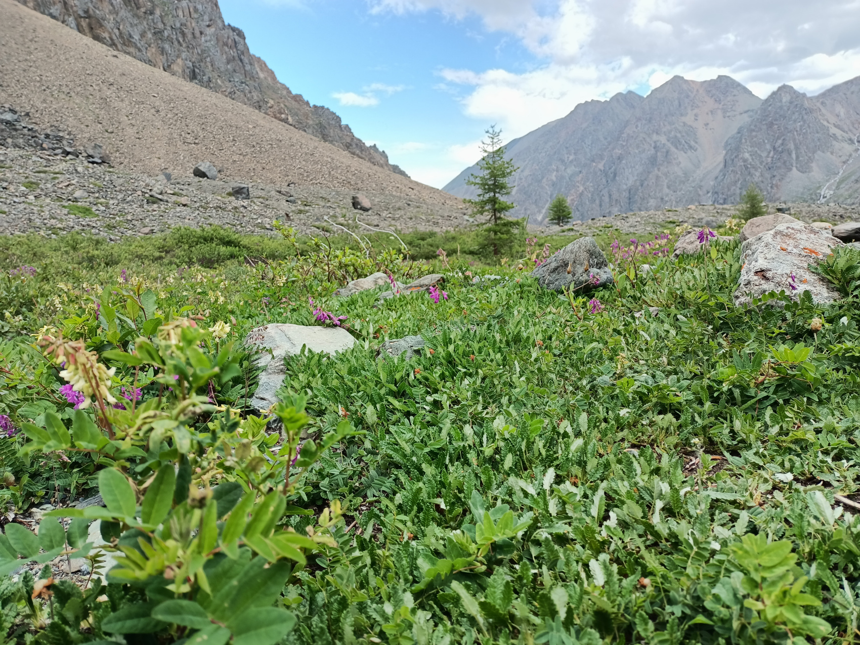 Путешествие по местам силы Алтая с комфортом (21/59)