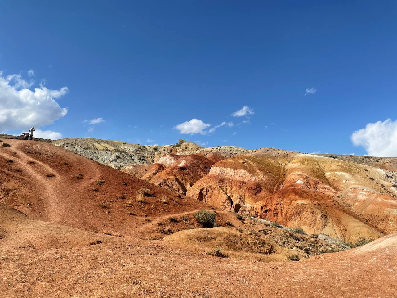 Путешествие по местам силы Алтая с комфортом (14/59)