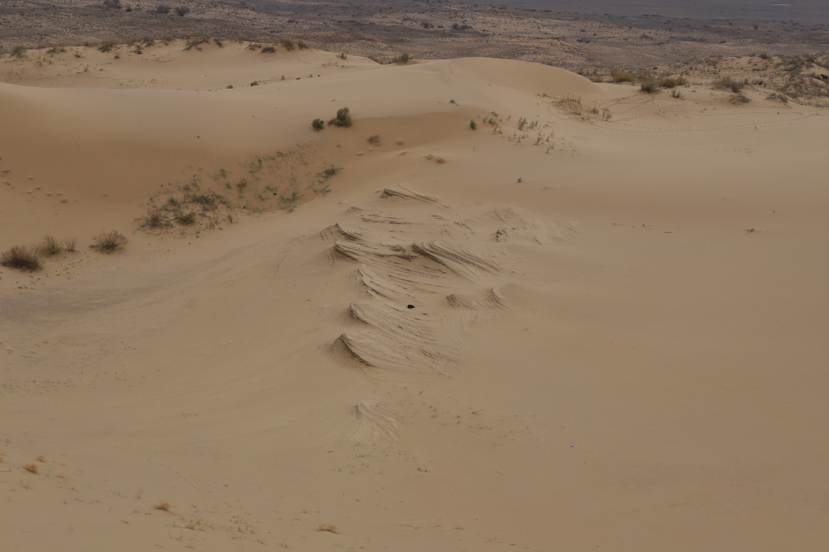 Комфорт-тур Сердце Дагестана. Топ-локации и уникальный маршрут на 5 дней (75/119)