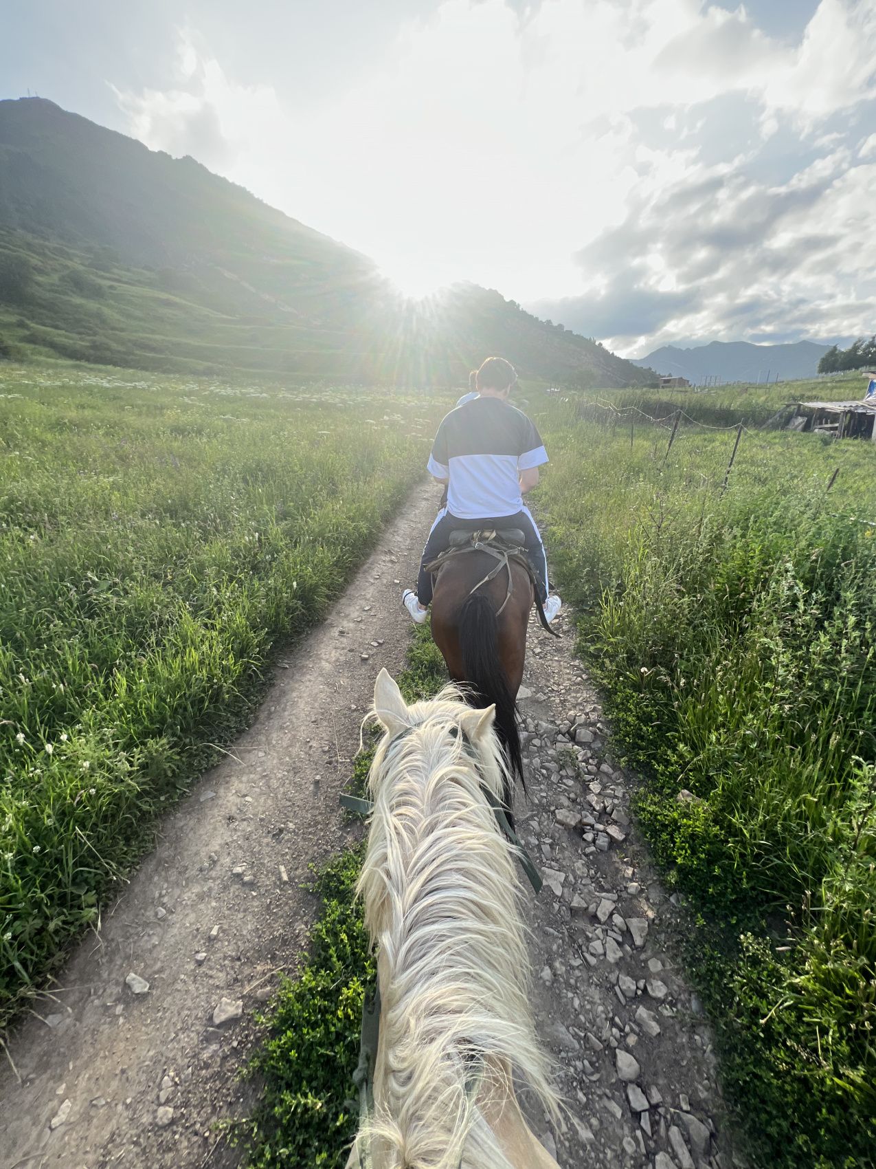 Комфорт-тур Сердце Дагестана за 5 дней. Топ-локации, уникальный маршрут! (11/115)