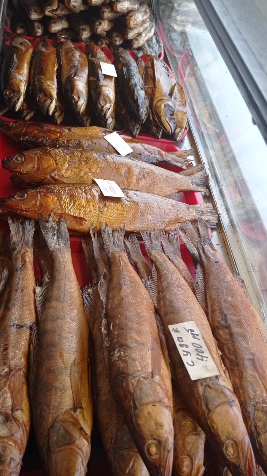 Углич, Переславль- Залесский, Мышкин (13/21)