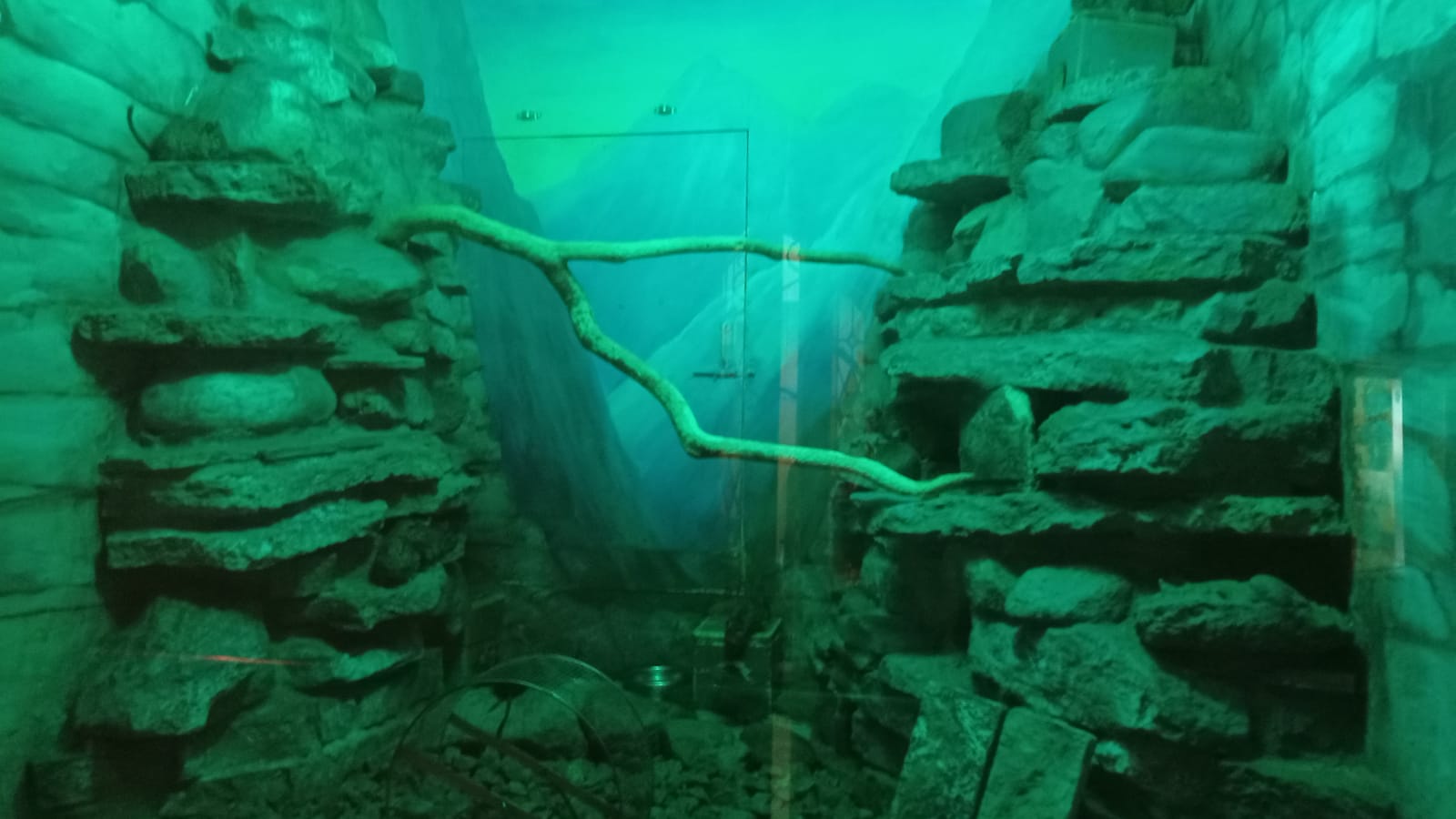 Углич, Переславль- Залесский, Мышкин (12/21)