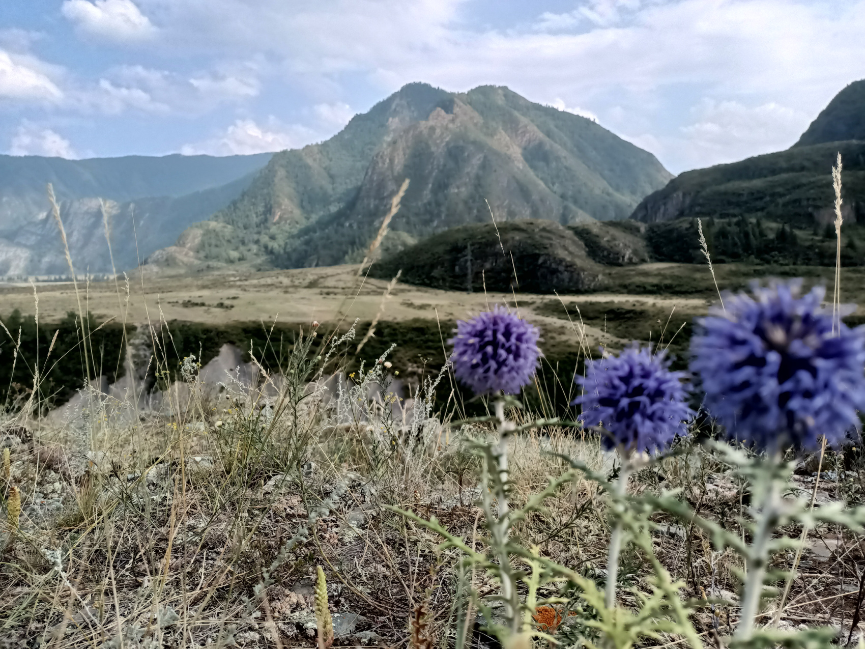 Жемчужное ожерелье Алтая (24/65)