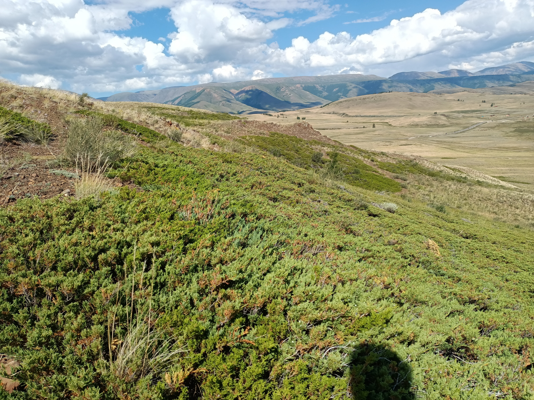 Жемчужное ожерелье Алтая (23/65)