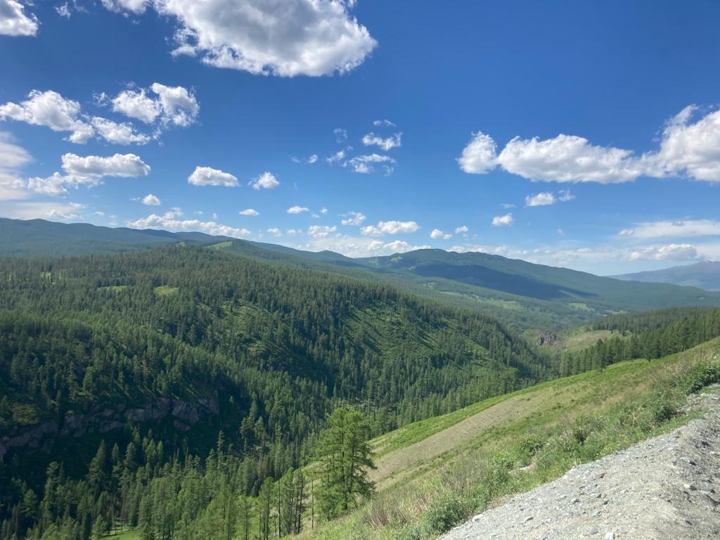 Жемчужное ожерелье Алтая (8/65)