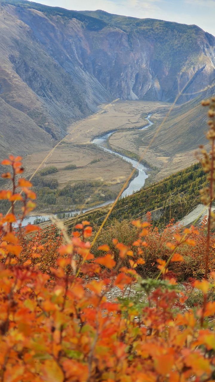 Жемчужное ожерелье Алтая (5/65)