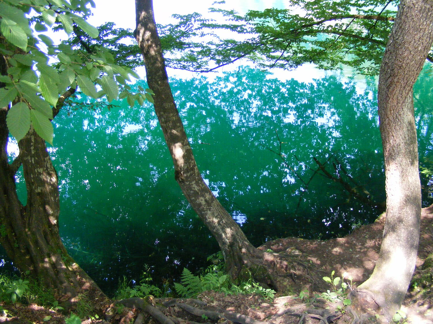 Астропутешествие в горы с телескопом (5/23)