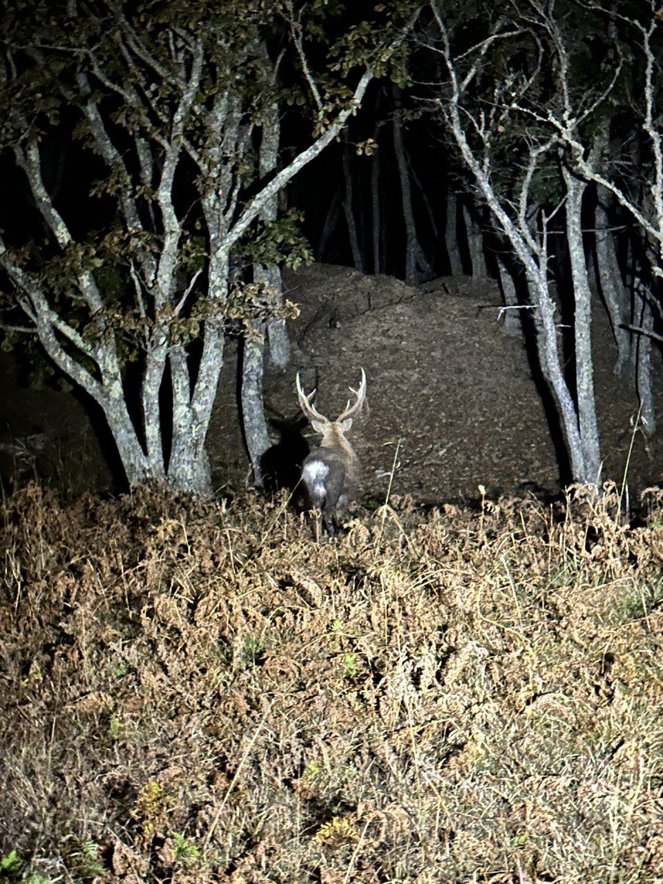 Бархатное Приморье. Полкрая за 10 дней с комфортом. (2/57)