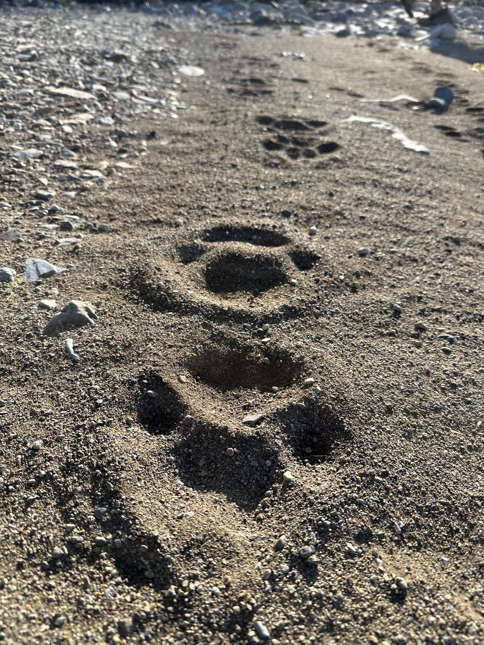 Бархатное Приморье. Полкрая за 10 дней с комфортом. (3/57)