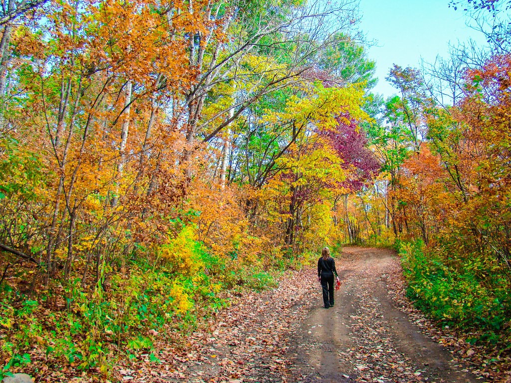 Бархатное Приморье. Полкрая за 10 дней с комфортом. (4/57)