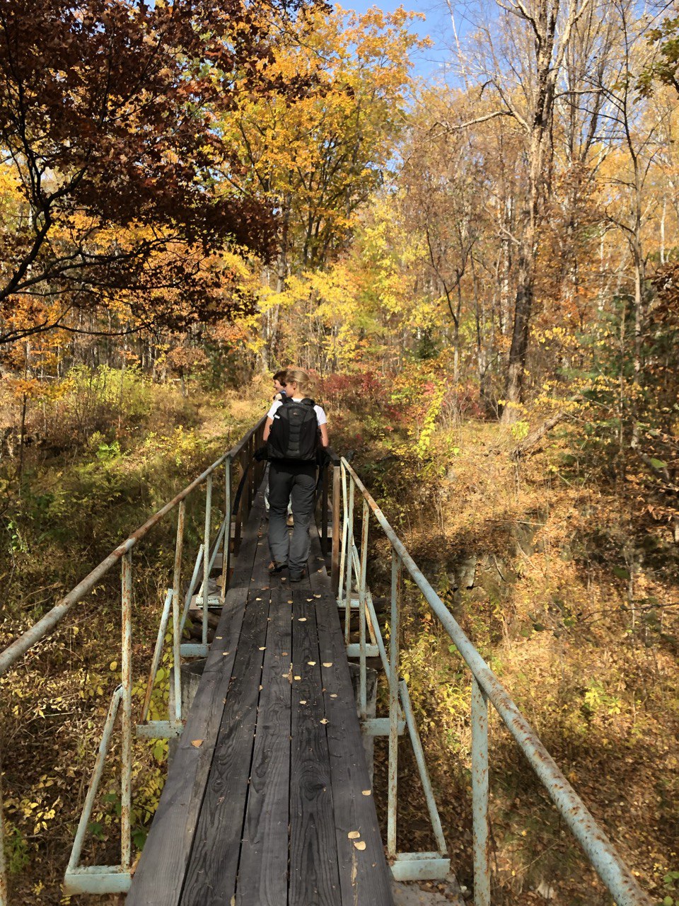 Бархатное Приморье. Полкрая за 10 дней с комфортом. (29/57)