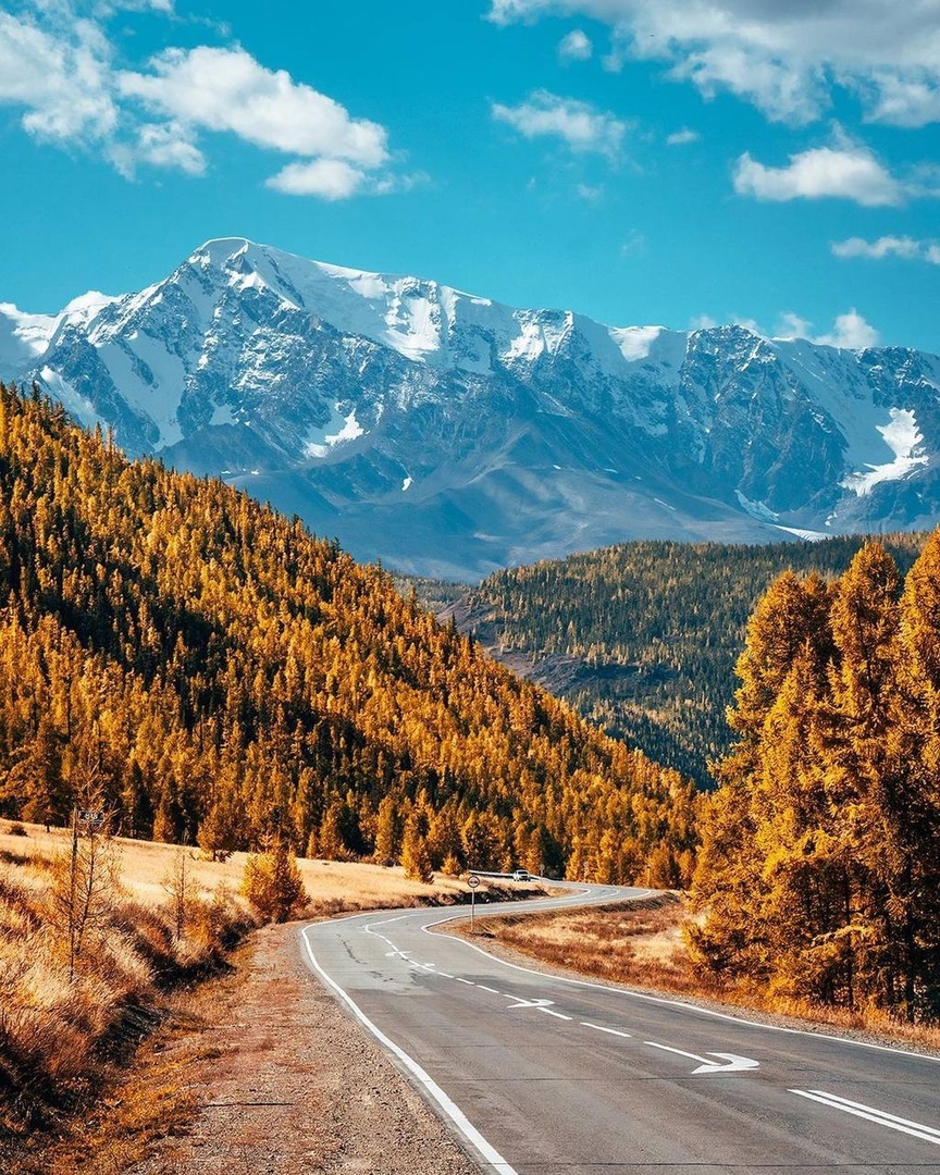 Тур Кольцевой Алтай + развлечения (2/46)