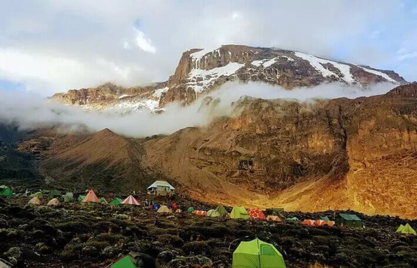 7 дней на Килиманджаро по маршруту Умбве