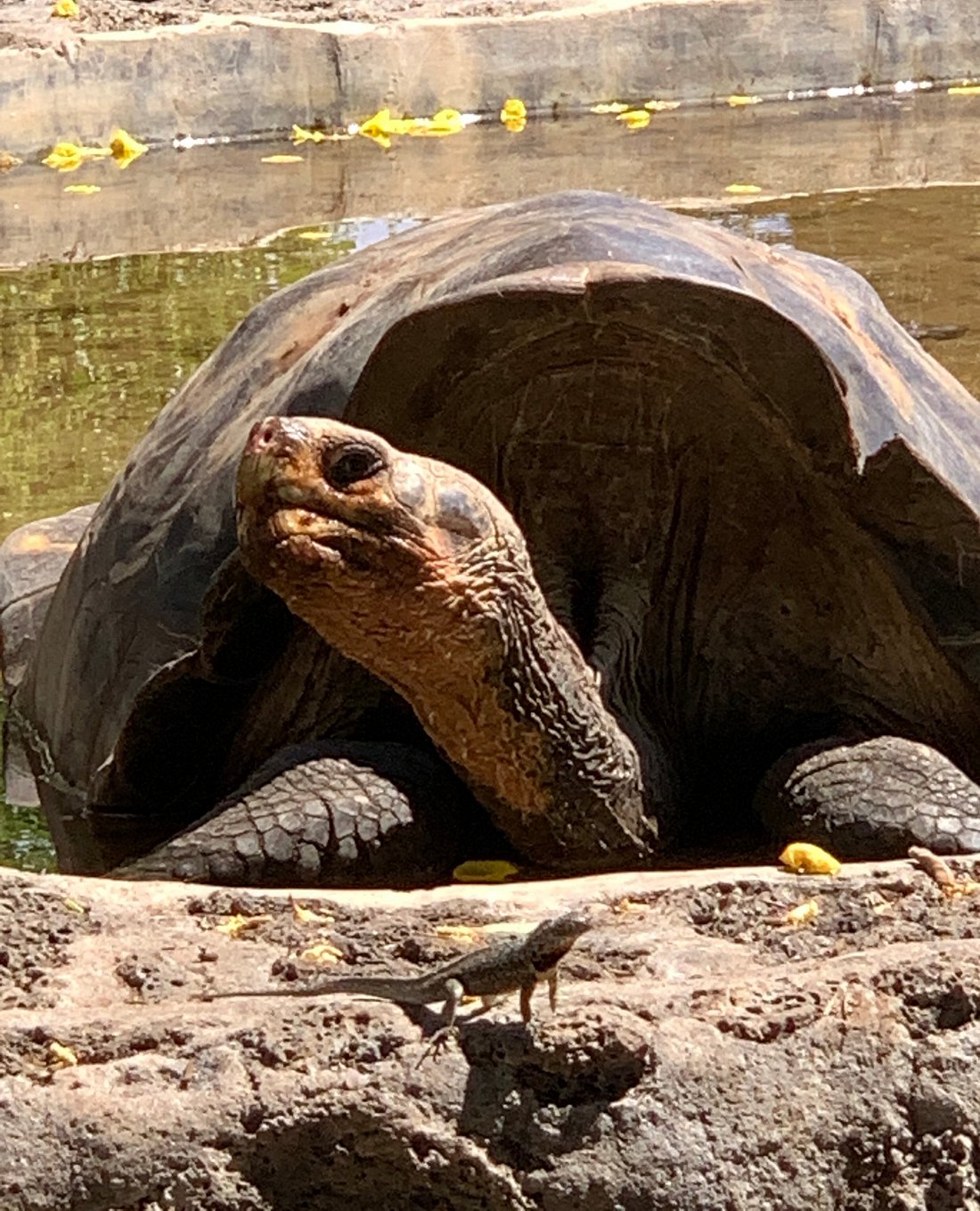 Откройте для себя Эквадор и Галапагосские острова (3/7)