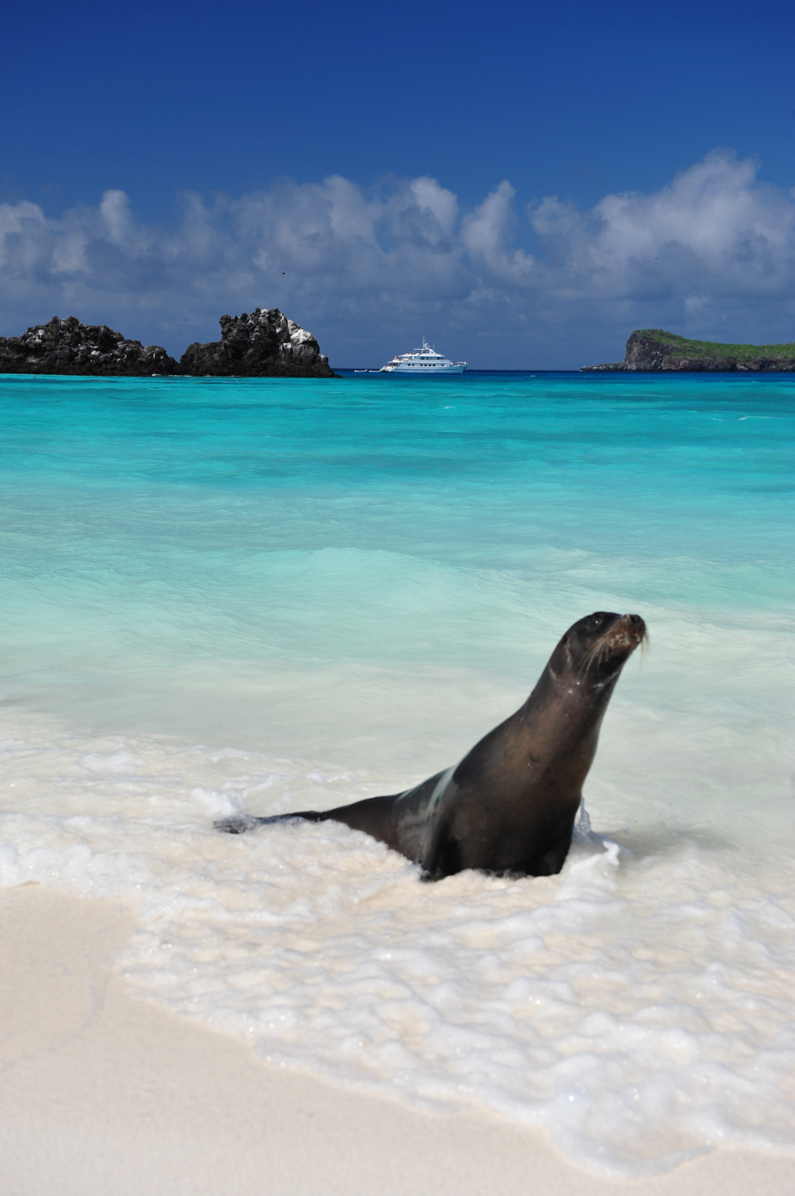 Откройте для себя Эквадор и Галапагосские острова (2/7)