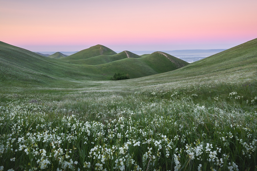 Долгие горы степи Оренбуржья (6/11)